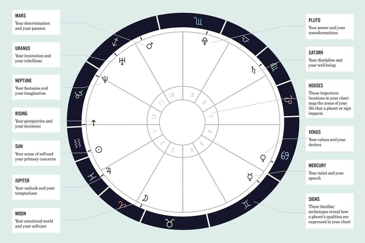 What's Your Sign? A Guide To Astrology