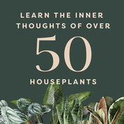 Houseplants and Their F*cked-Up Thoughts
