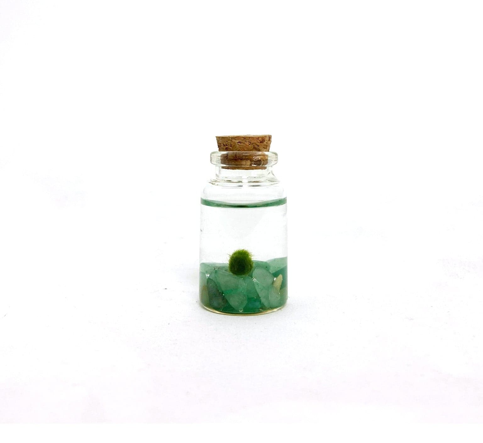 Moss Amigo Pet Plant - Nino Size with Green Aventurine