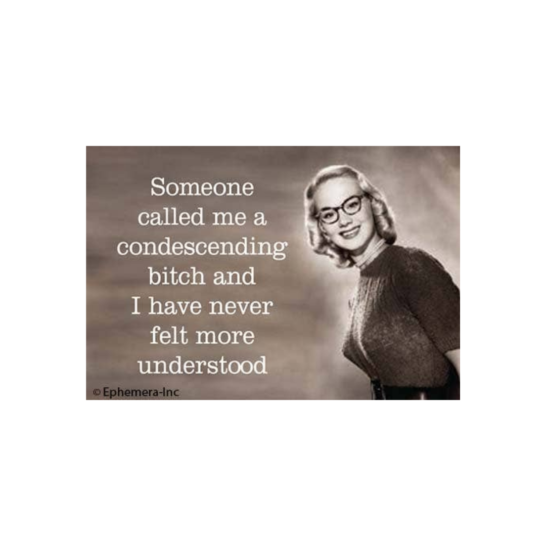 Someone Called Me A Condescending Bitch Magnet