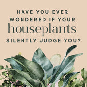 Houseplants and Their F*cked-Up Thoughts