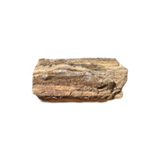 Druzy Crystalized Petrified Wood