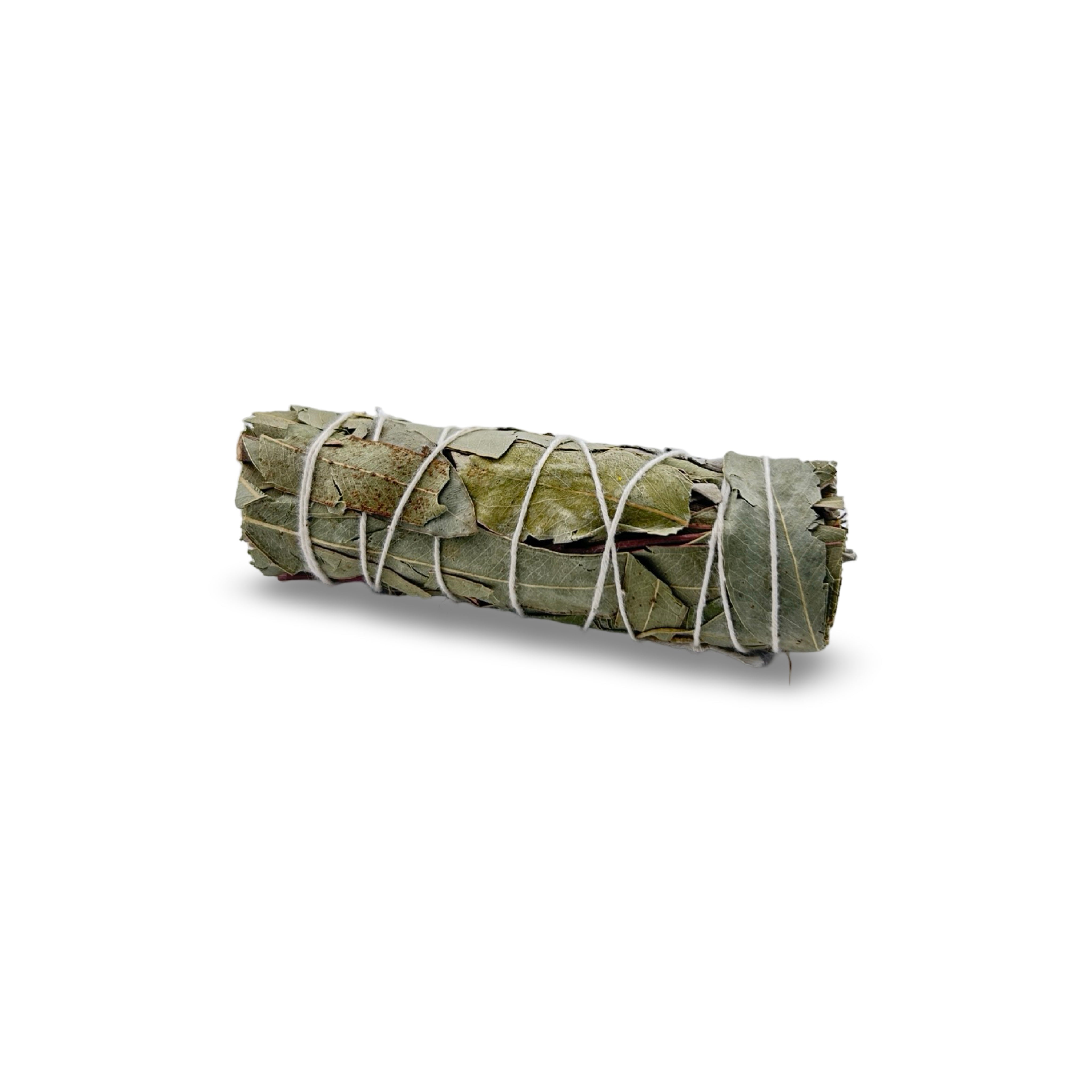 White Sage Bundle With Eucalyptus