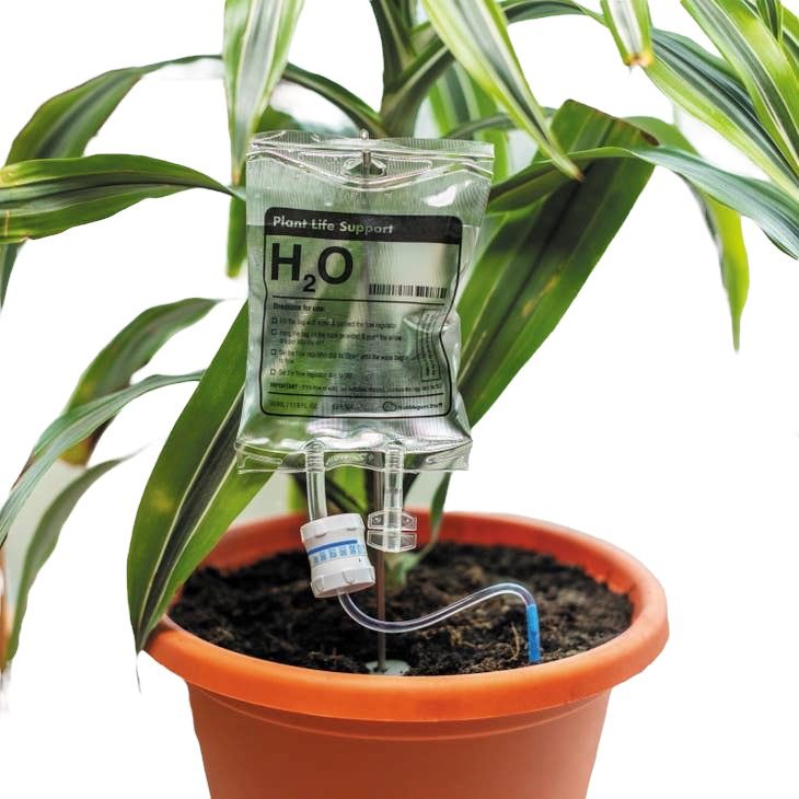 Plant Life Support Houseplant Watering Device IV Drip