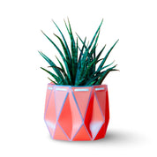 Origami Self-Watering Planter Coral Orange