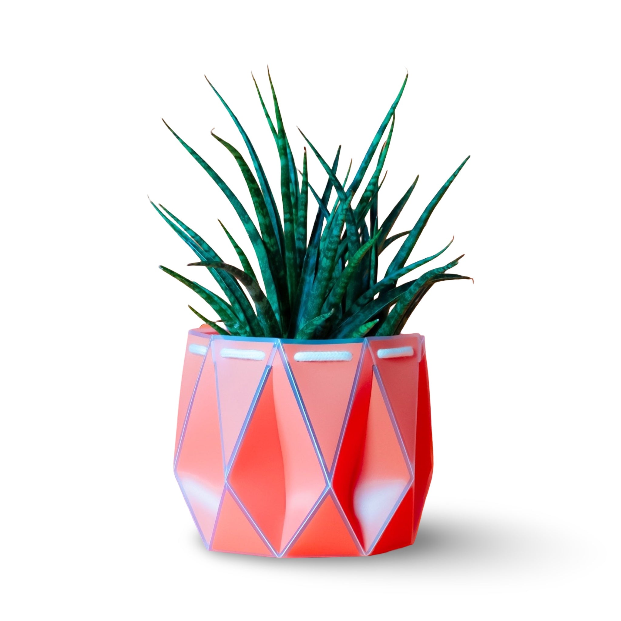 Origami Self-Watering Planter Coral Orange