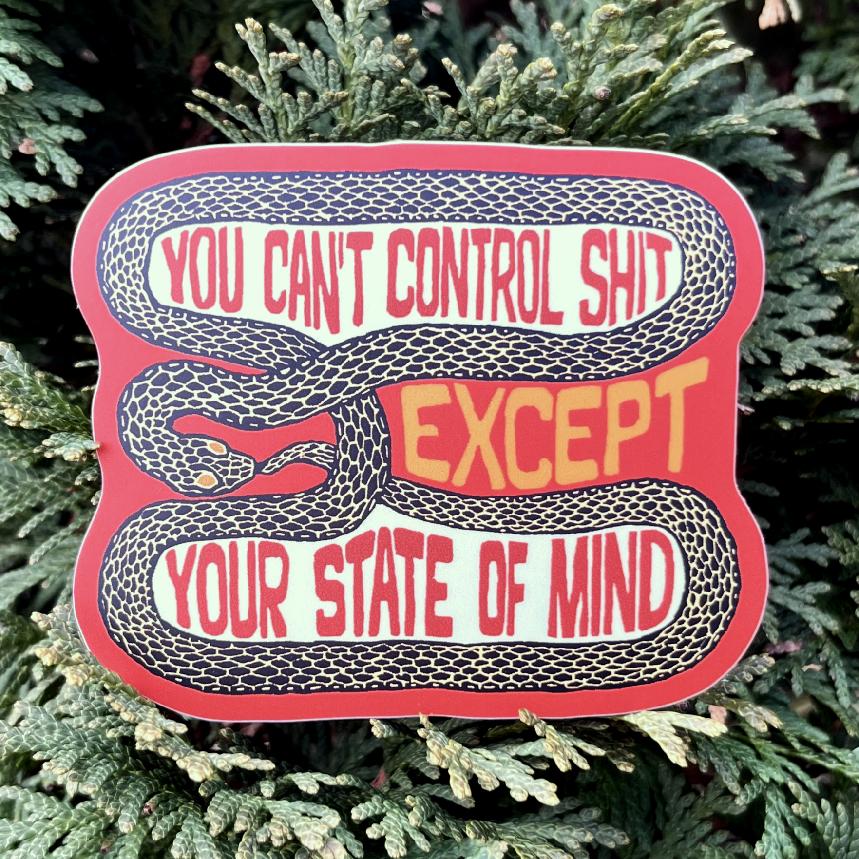 You Can’t Control Shit Snake Sticker