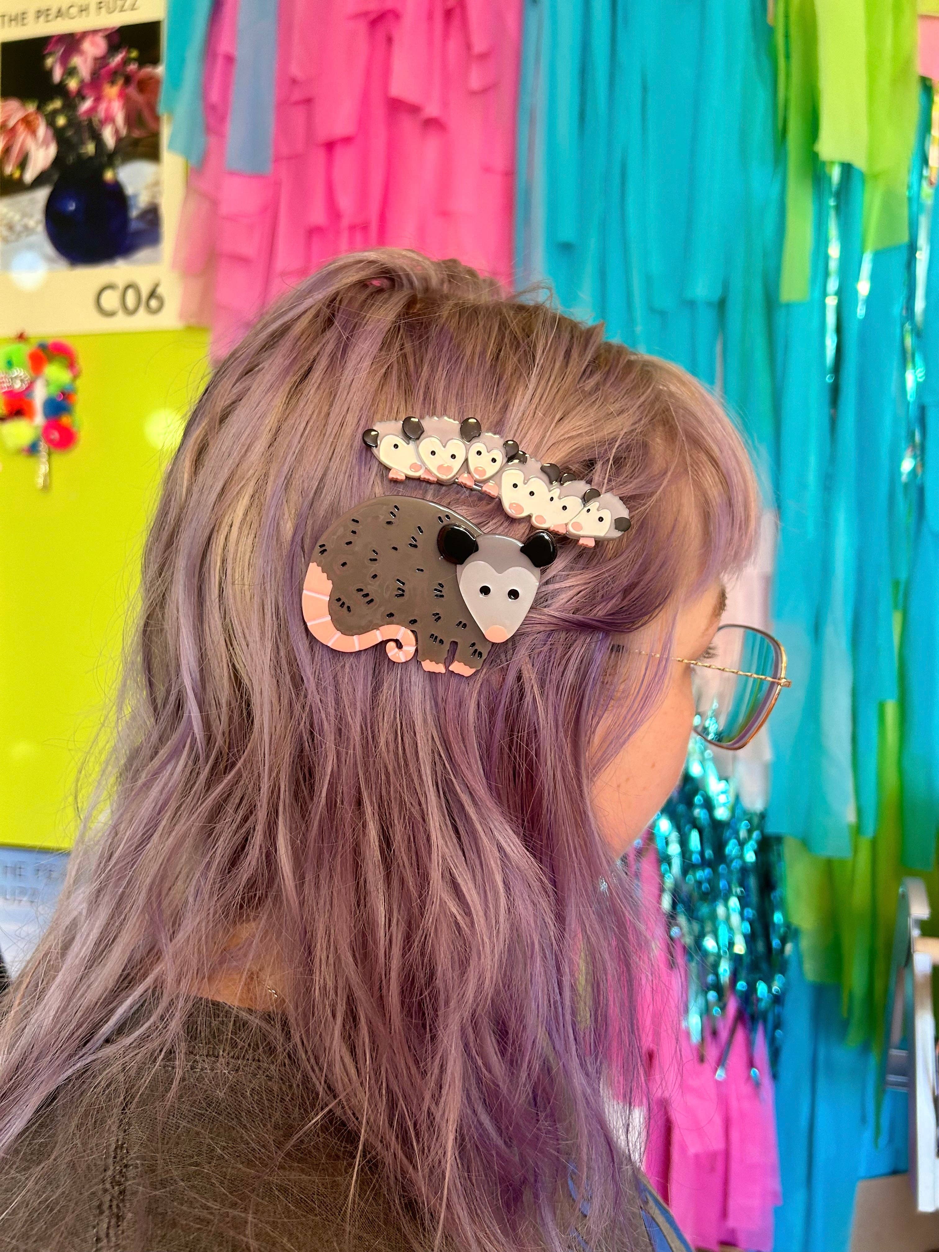 Opossum Family Hair Clip Set
