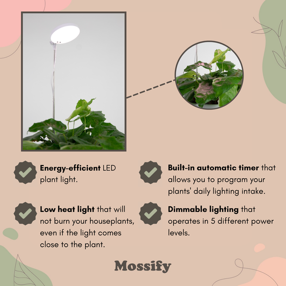 Adjustable LED Plant Light by Mossify