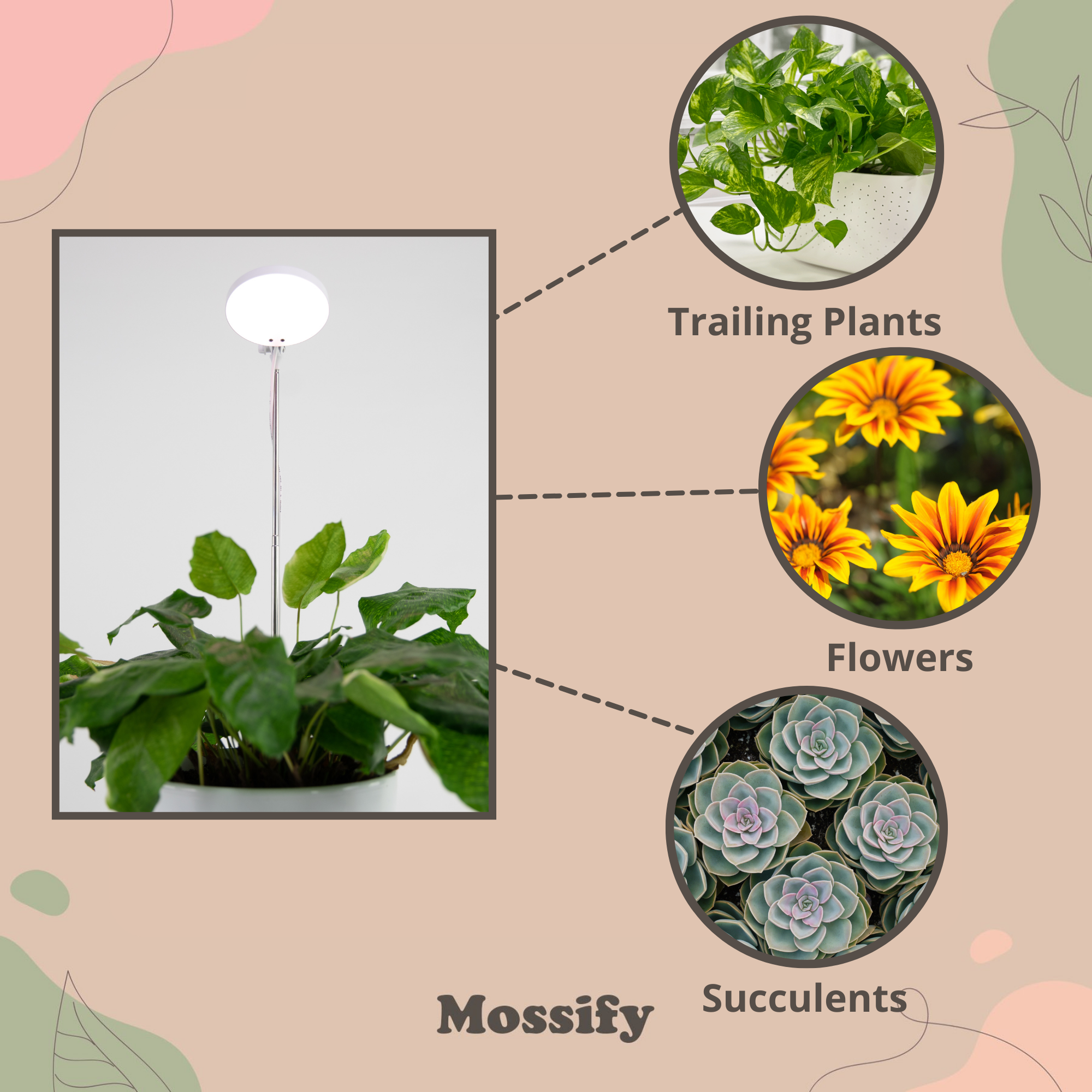 Adjustable LED Plant Light by Mossify