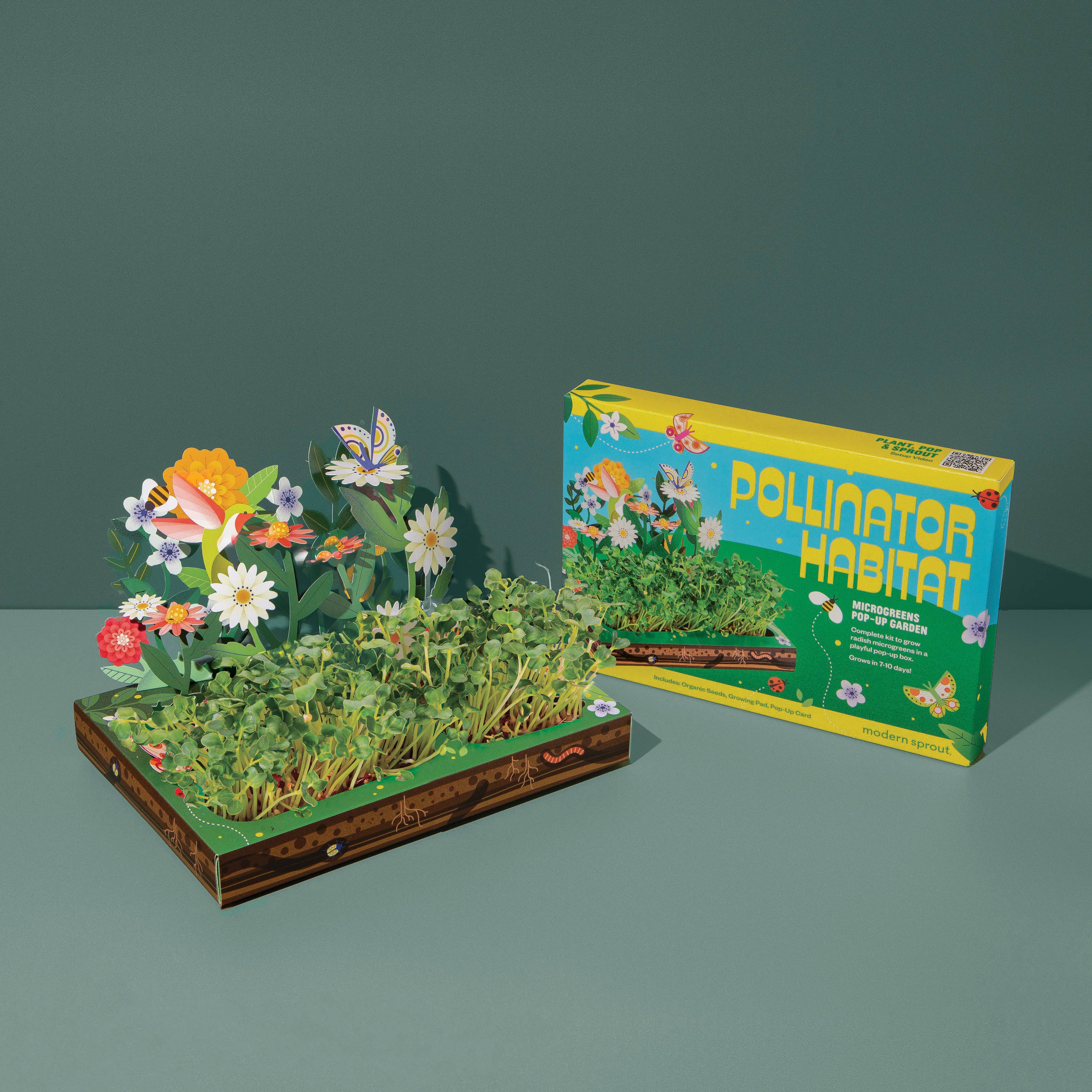 Microgreens DIY Kit: Pollinator Habitat