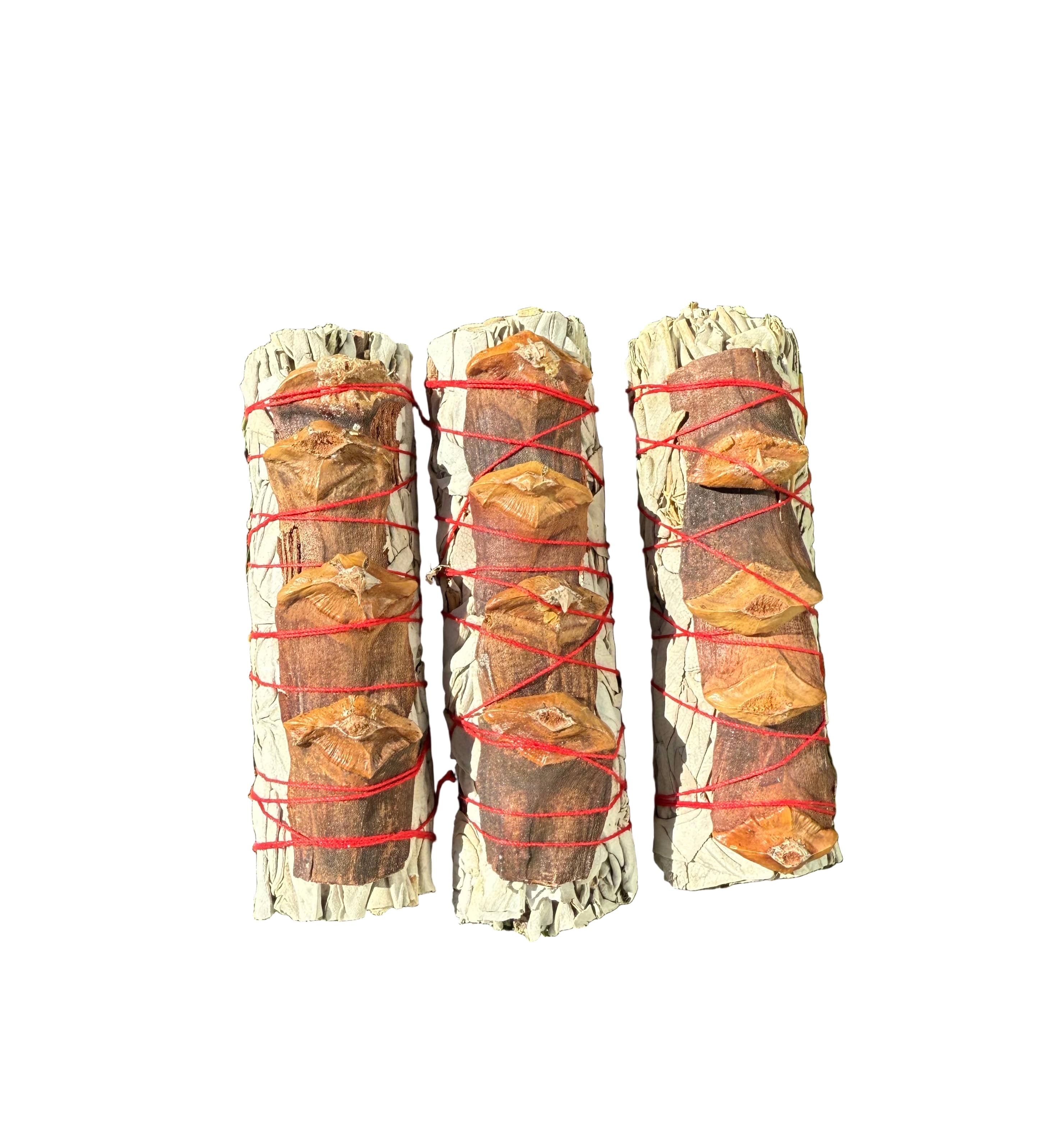 Pine Cone White Sage Bundle