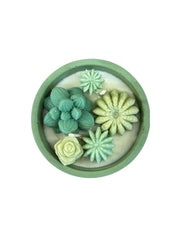 Succulent Candle Mint and Citrus