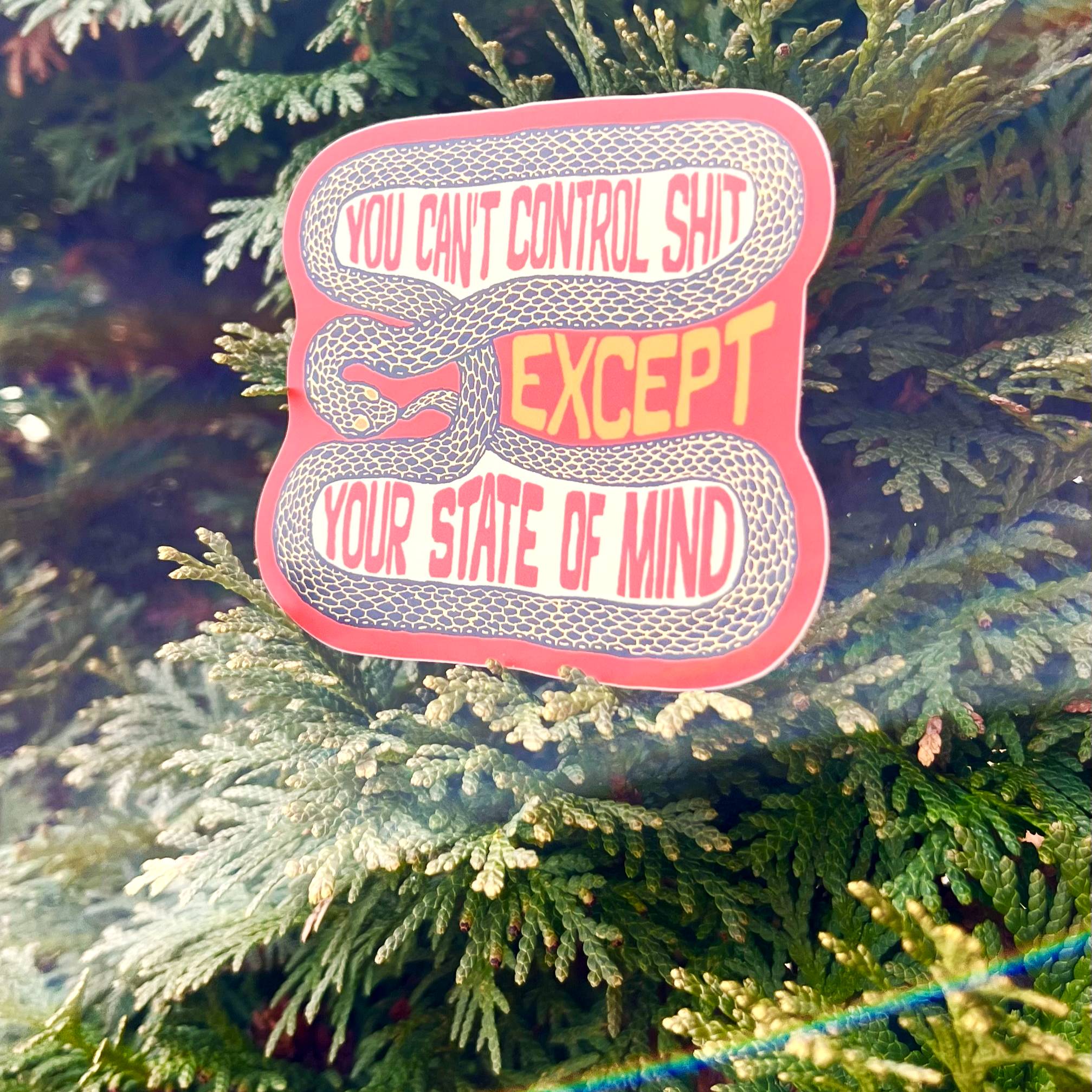 You Can’t Control Shit Snake Sticker