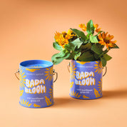 Sunflower Grow Kit 'Bada Bloom'