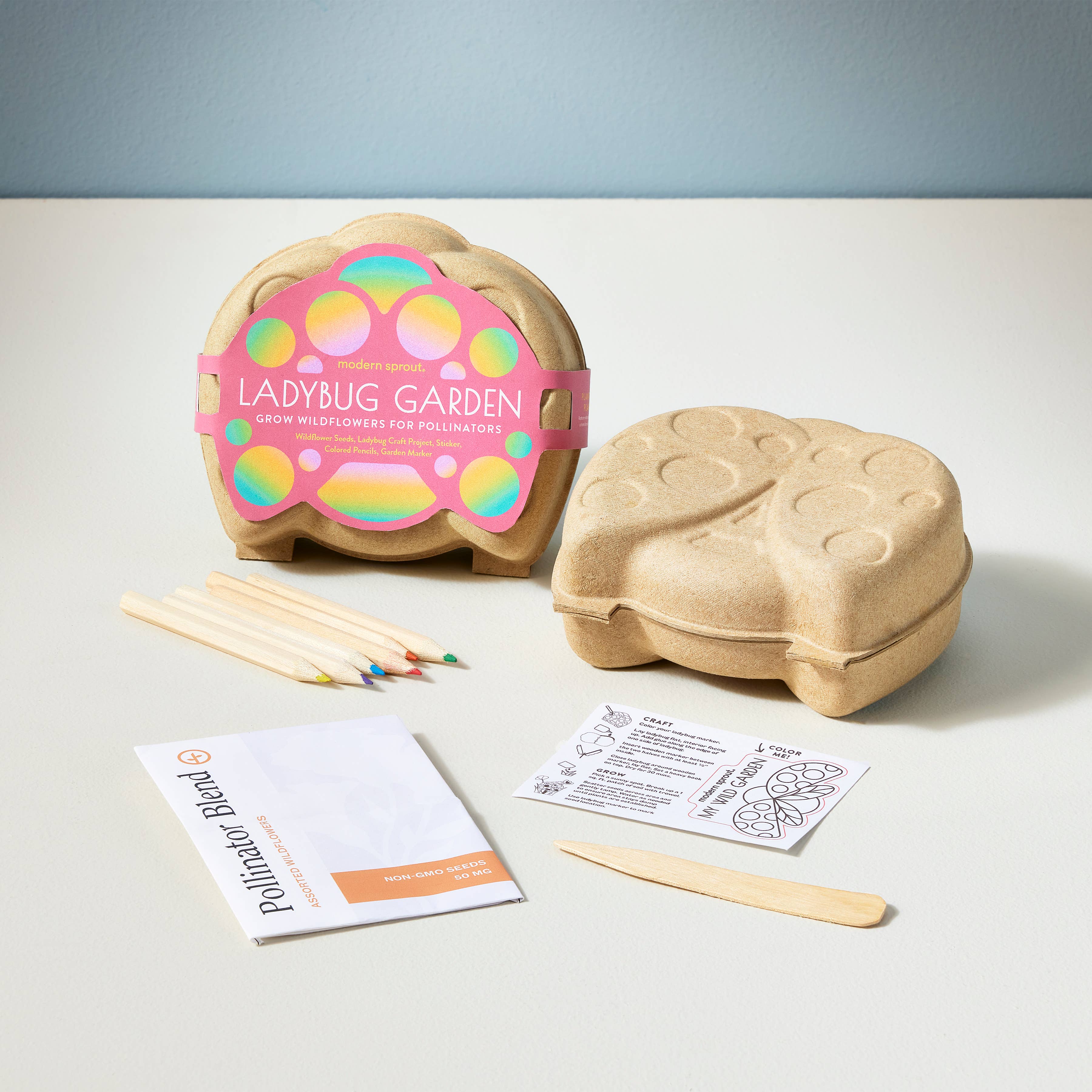 Curious Critter Garden Activity Kit: Ladybug