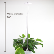 Adjustable LED Plant Light by Mossify