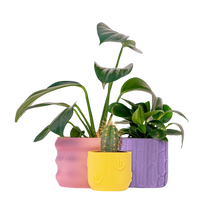 3D Printed 'Made From Plants' Nested Plant Pots - Set of 3