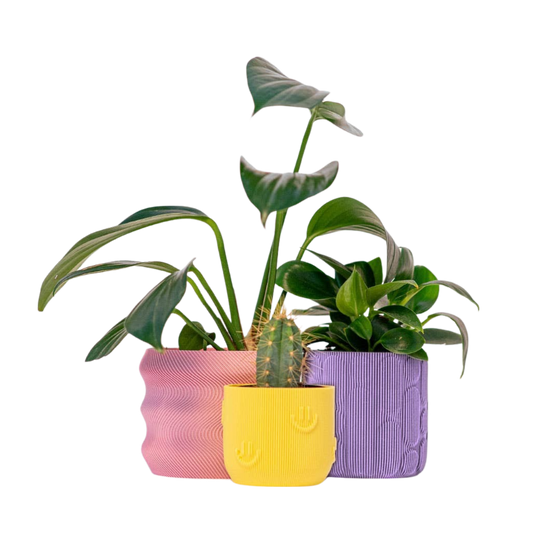 3D Printed 'Made From Plants' Nested Plant Pots - Set of 3