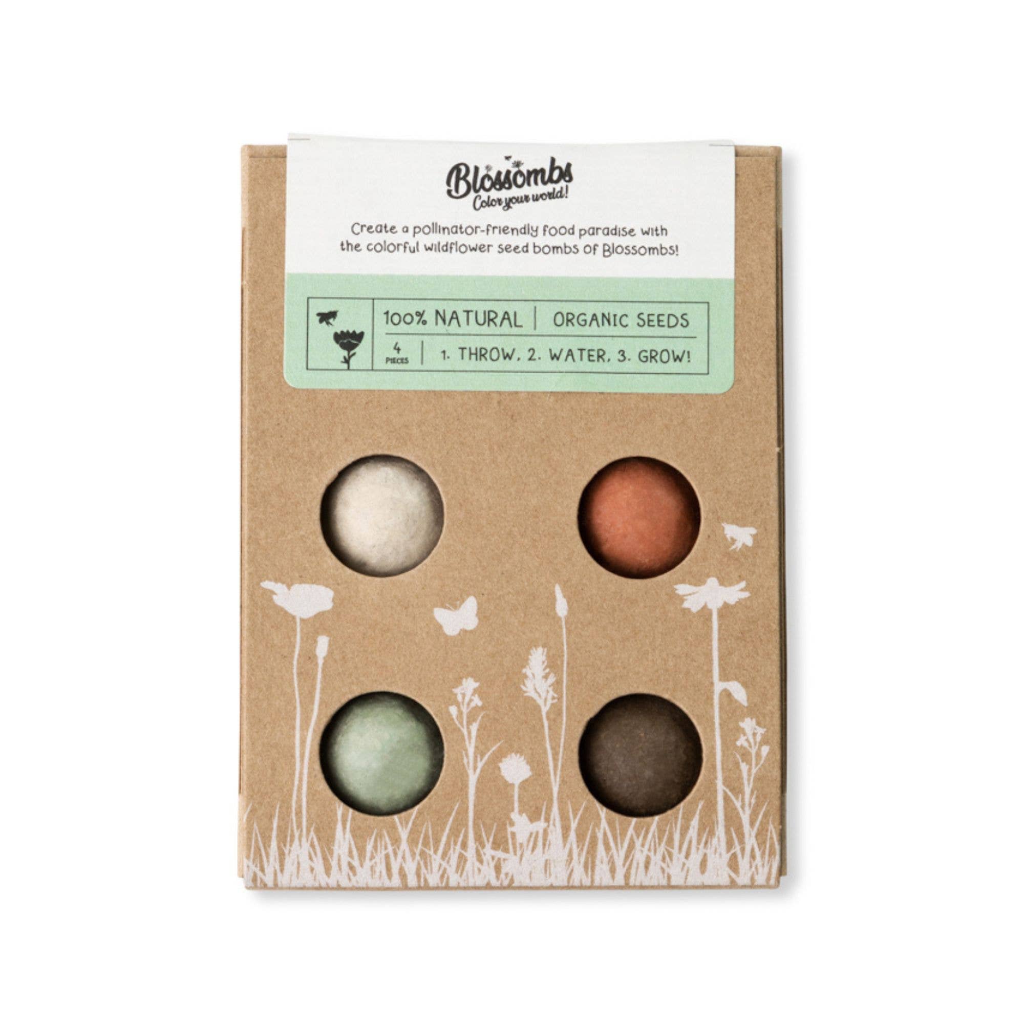 Mini Wildflower Seed Box | Seed Bombs Pollinator Mix