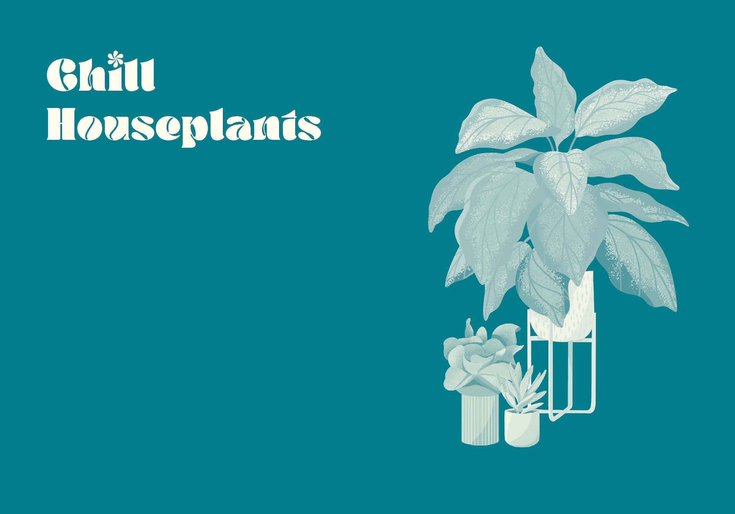 The Green Dumb Guide to Houseplants – Easy, Hard-to-Kill Plants for Beginners