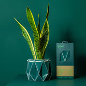 Origami Self-Watering Planter Dark Teal