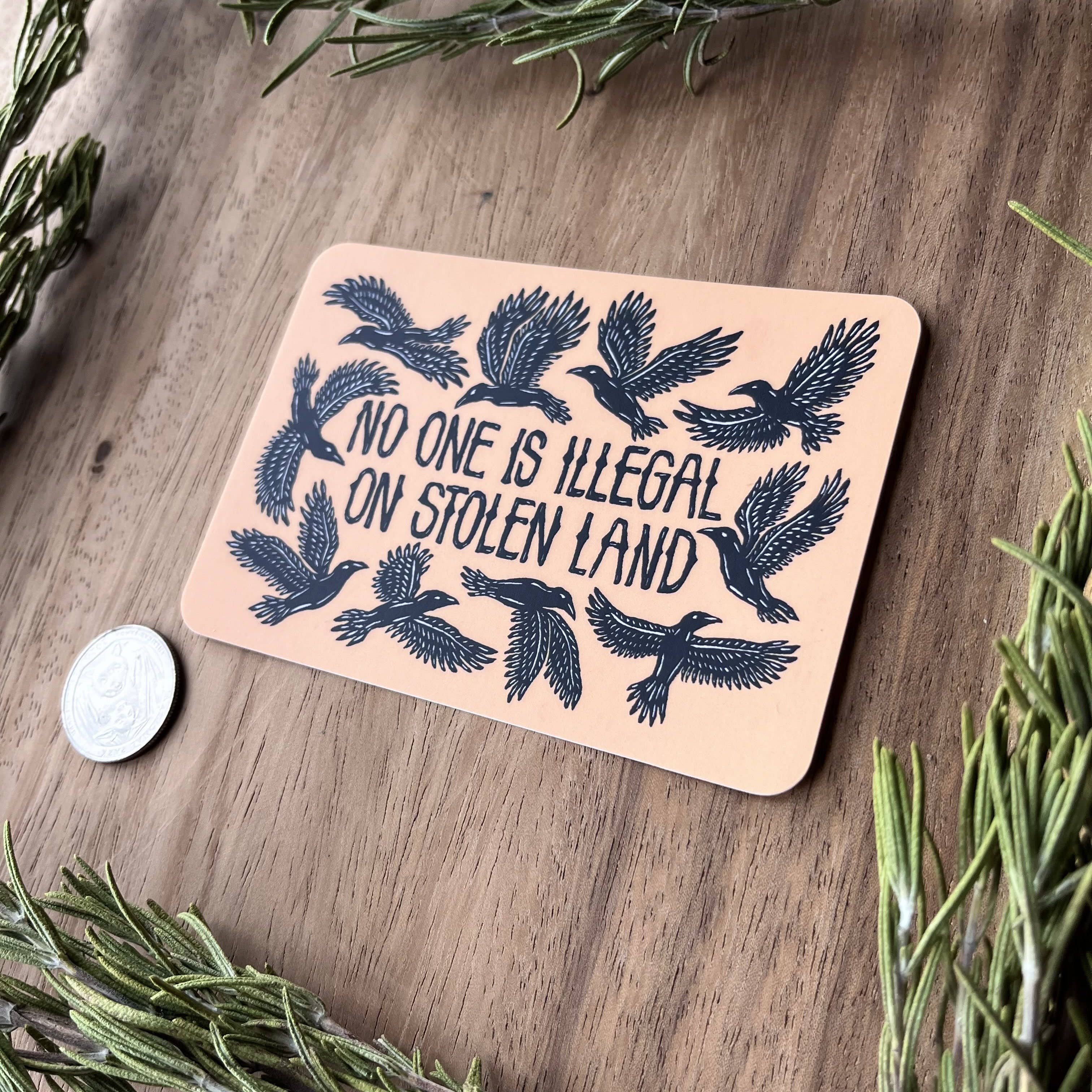 No One Is Illegal On Stolen Land Bird Sticker