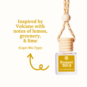 Hanging Essential Oil Diffuser - 15+ Scents
