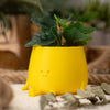 Happy Pot Planter - Yellow