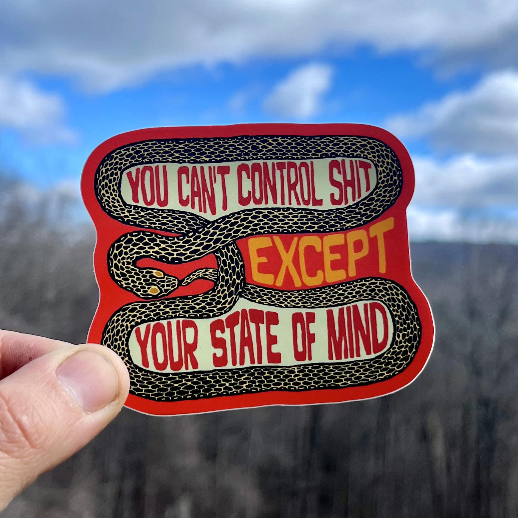 You Can’t Control Shit Snake Sticker