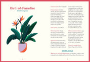 The Green Dumb Guide to Houseplants – Easy, Hard-to-Kill Plants for Beginners