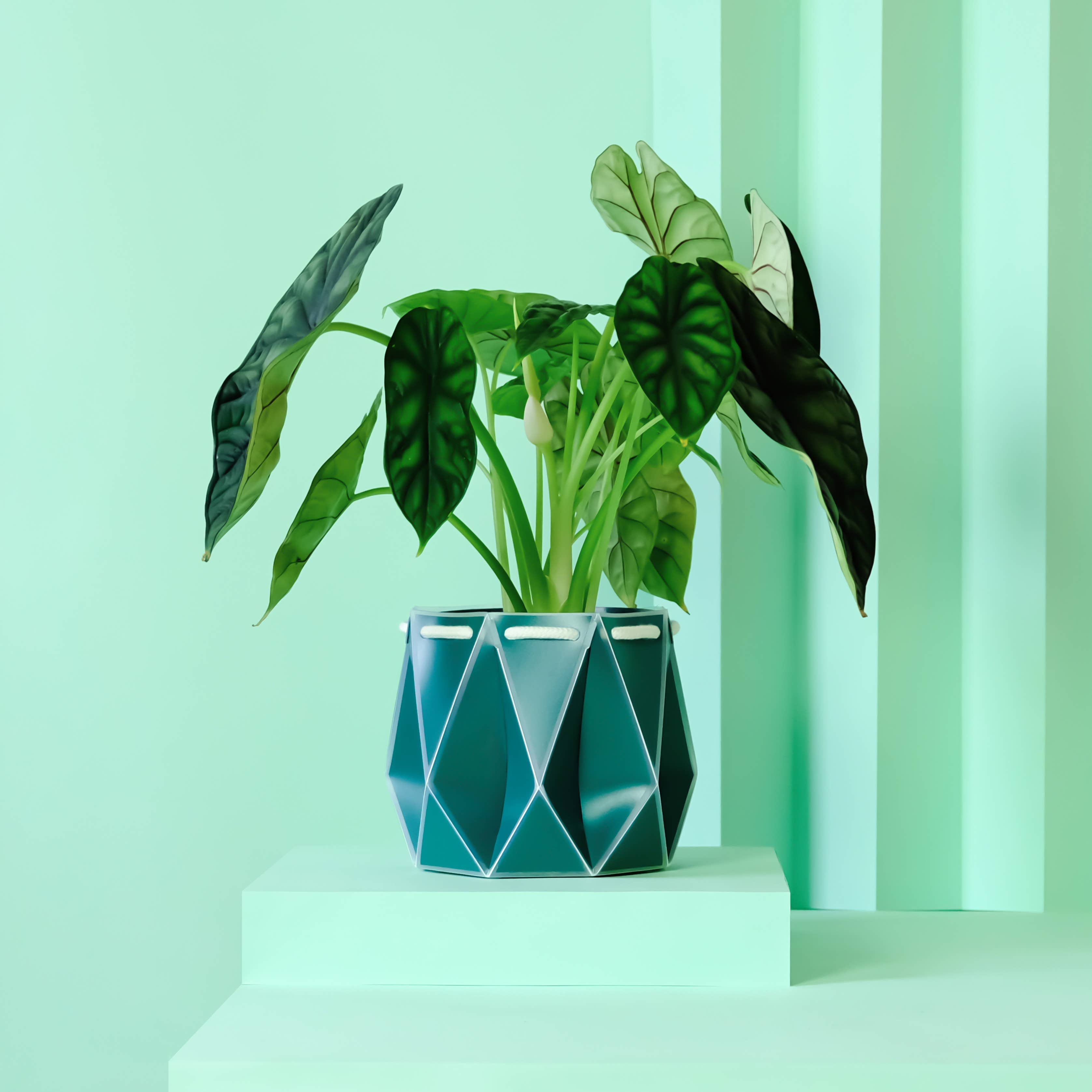 Origami Self-Watering Planter Dark Teal