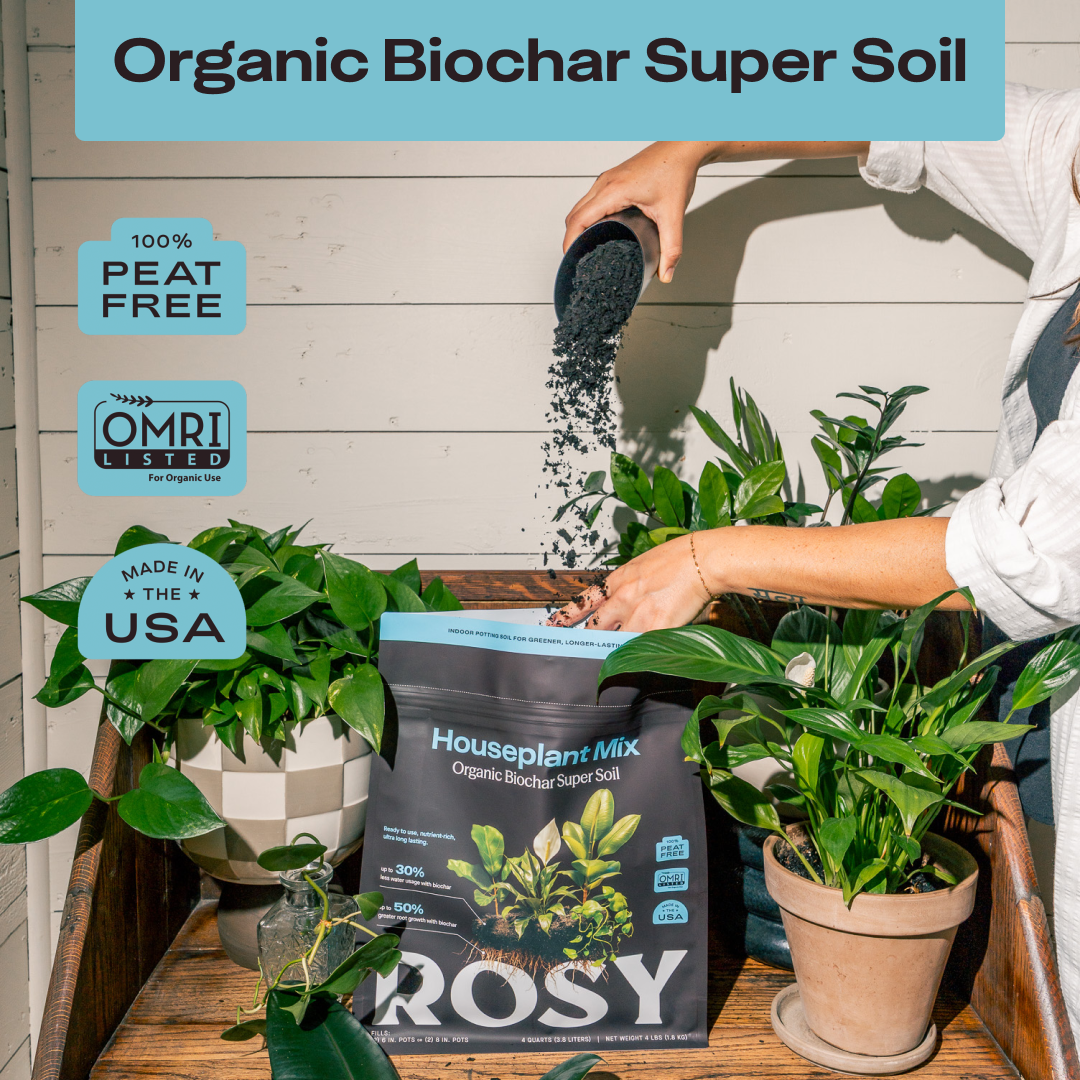 Rosy Soil Organic Indoor Potting Soil – Peat-Free Houseplant Soil, 4 Qt