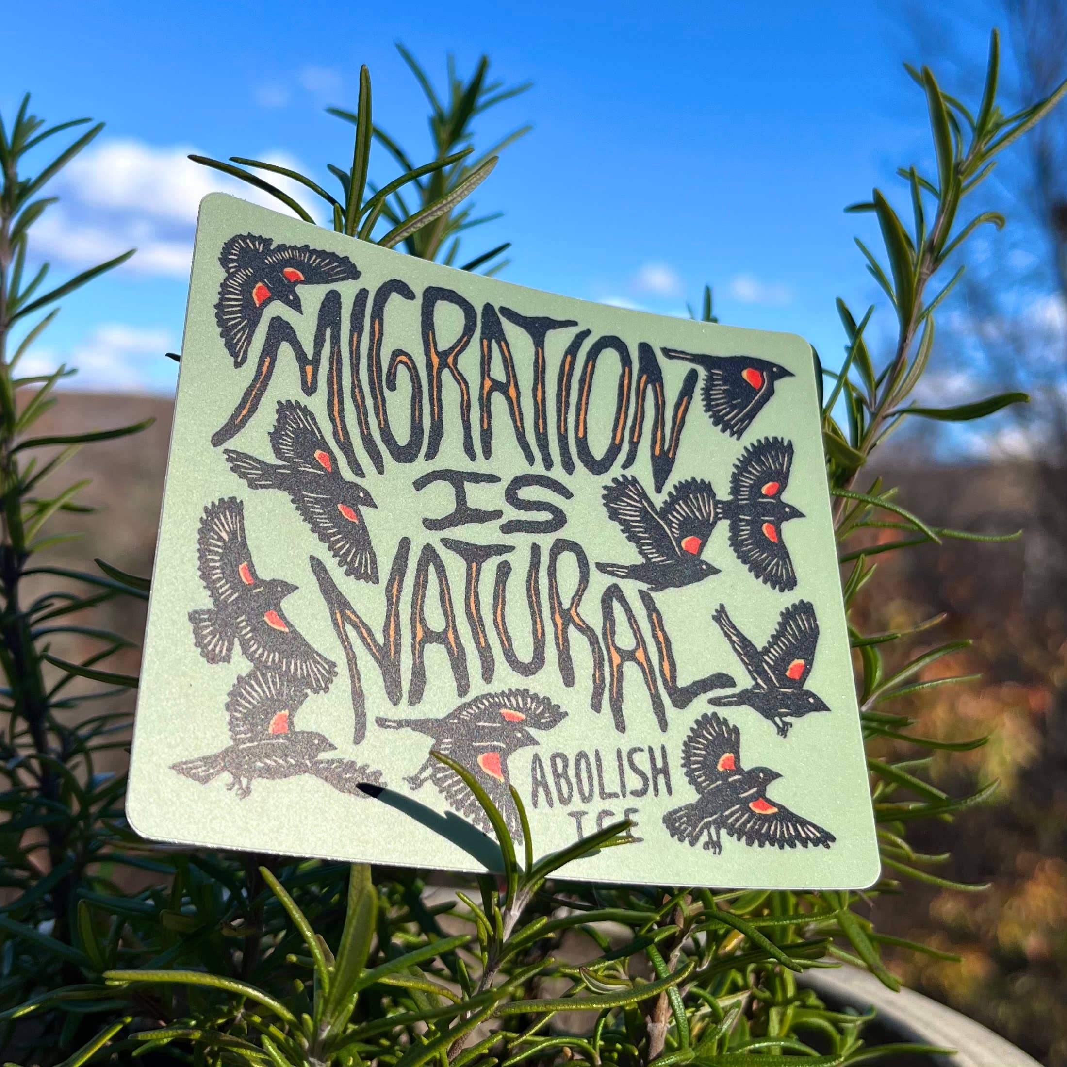 Migration Is Natural Abolish ICE Bird Sticker
