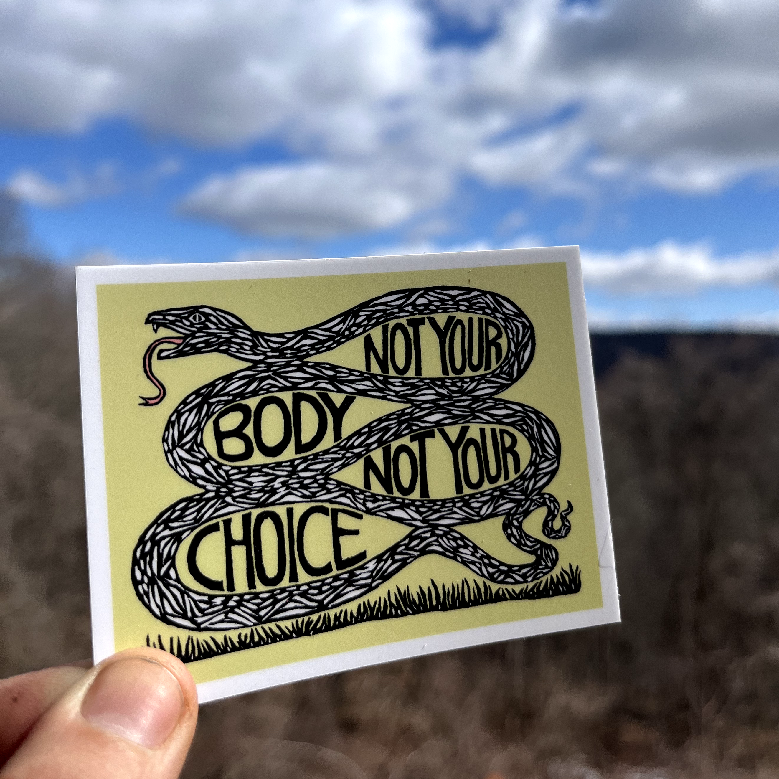 Not Your Body Not Your Choice Snake Sticker