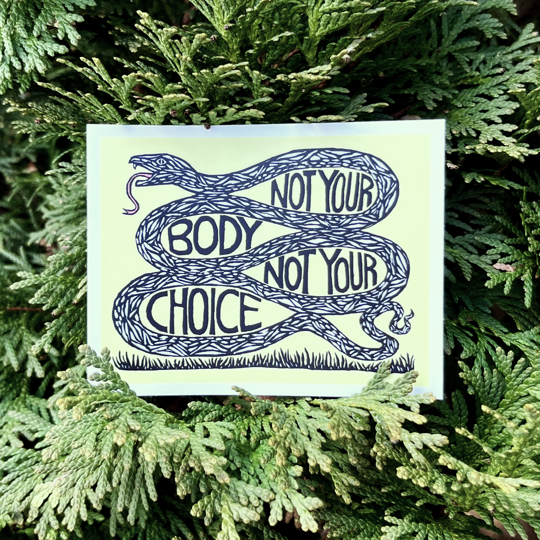 Not Your Body Not Your Choice Snake Sticker