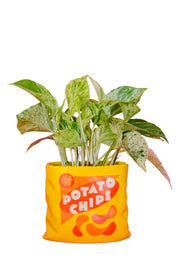 Ceramic Vase - Potato Chip Bag