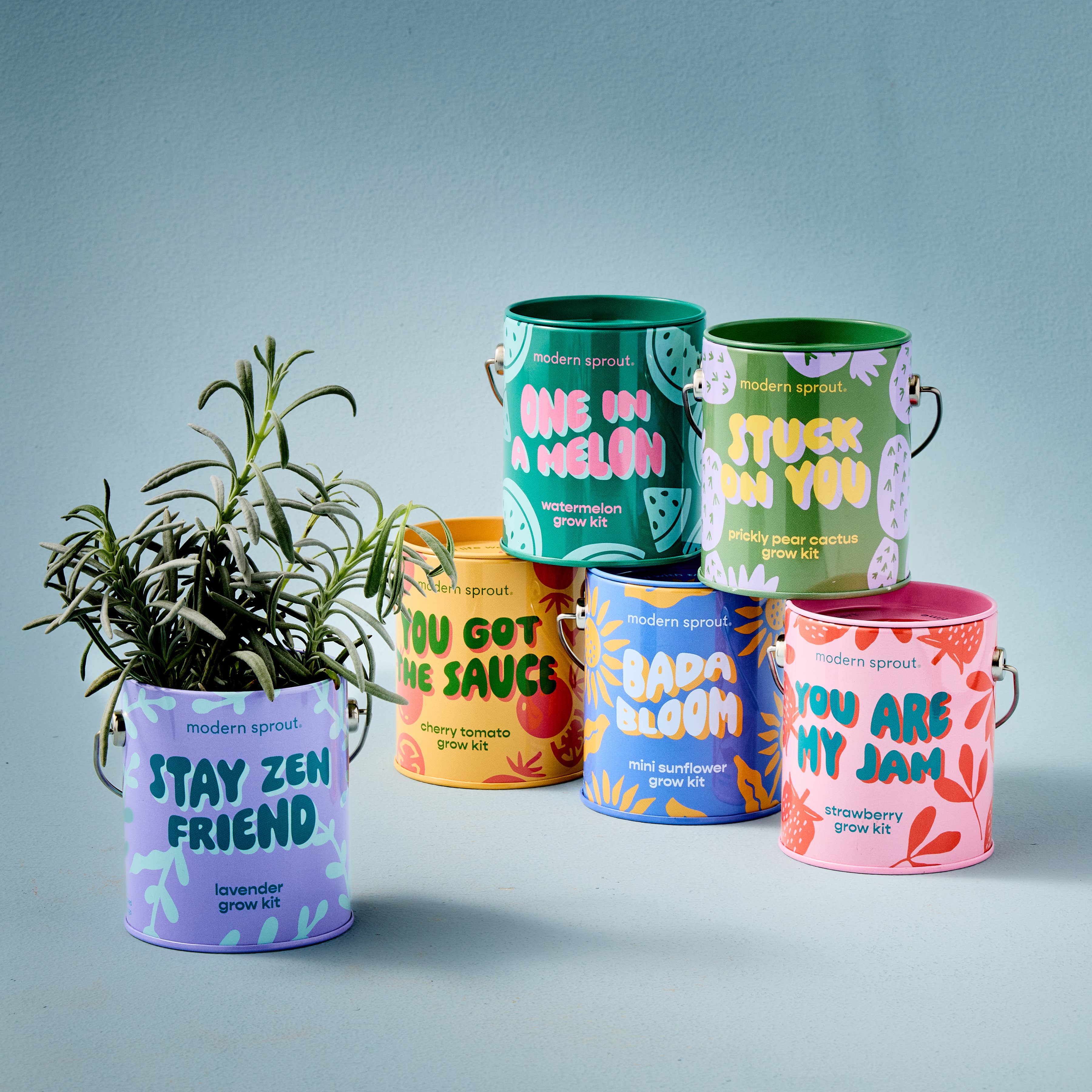 Lavender Grow Kit 'Stay Zen Friend'