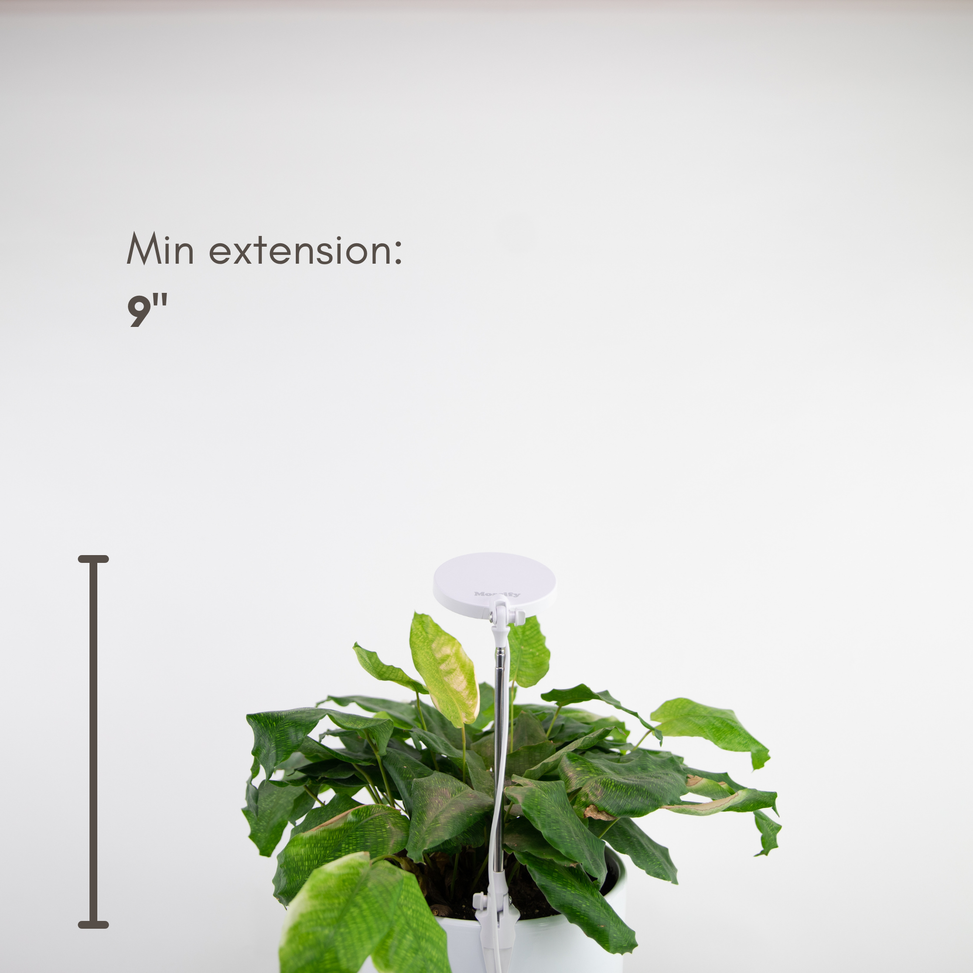 Adjustable LED Plant Light by Mossify