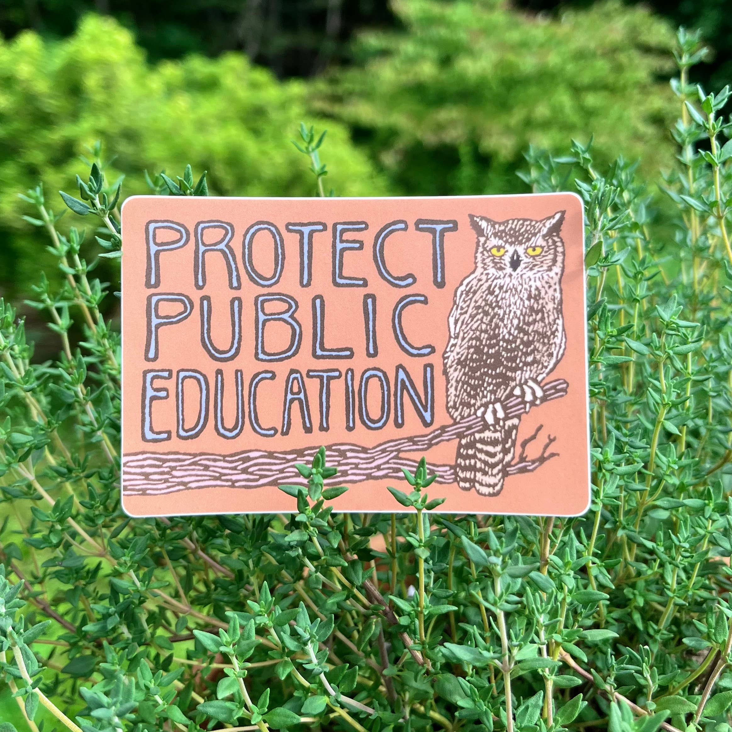 Protect Public Education Great Horned Owl Sticker