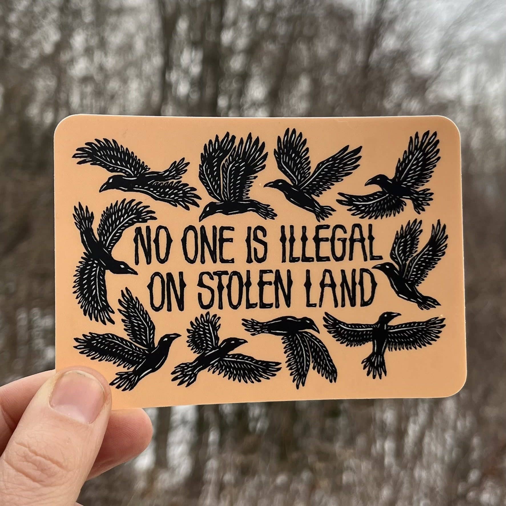 No One Is Illegal On Stolen Land Bird Sticker