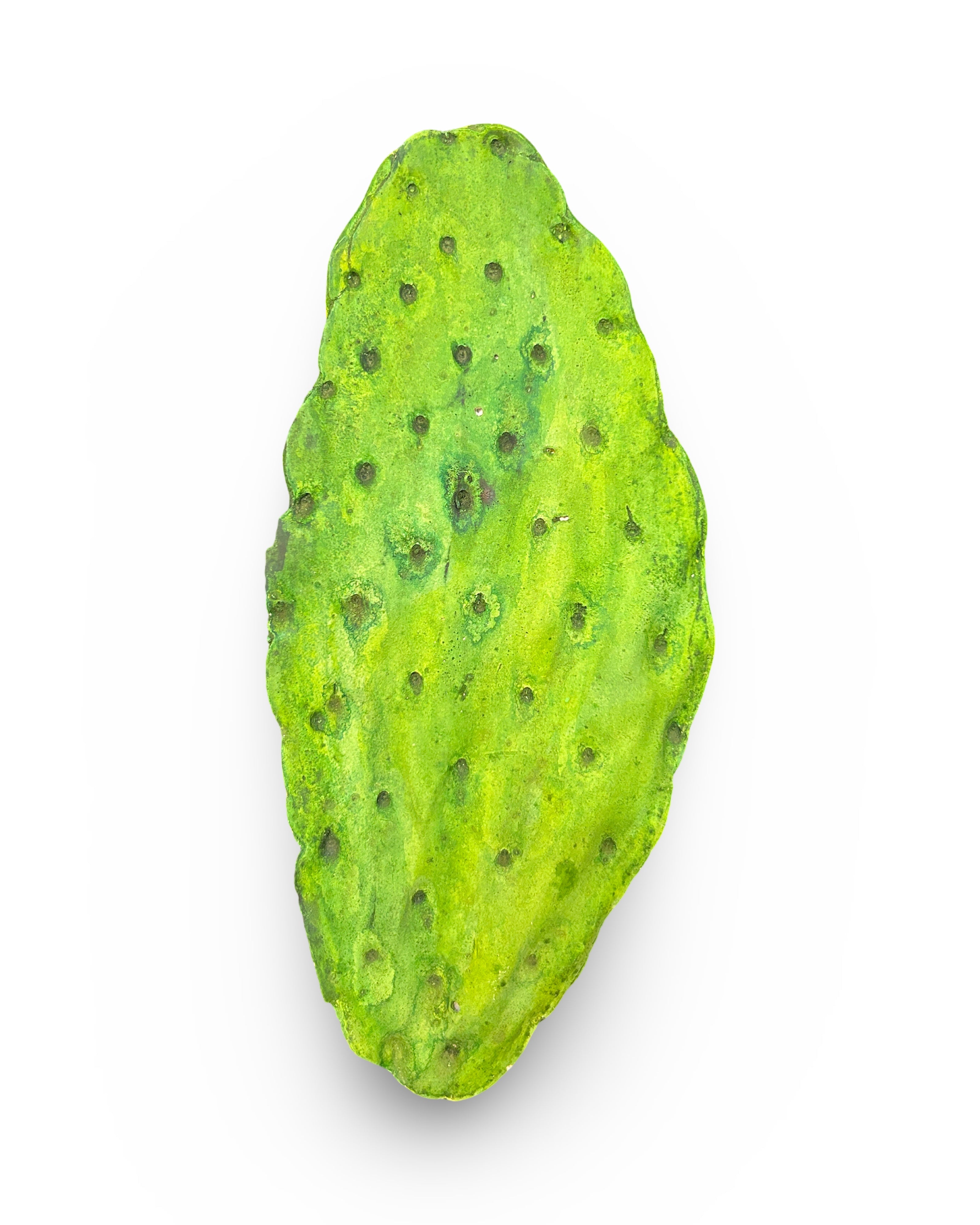 Cactus Leaf Concrete Wall Art by Urban Soule