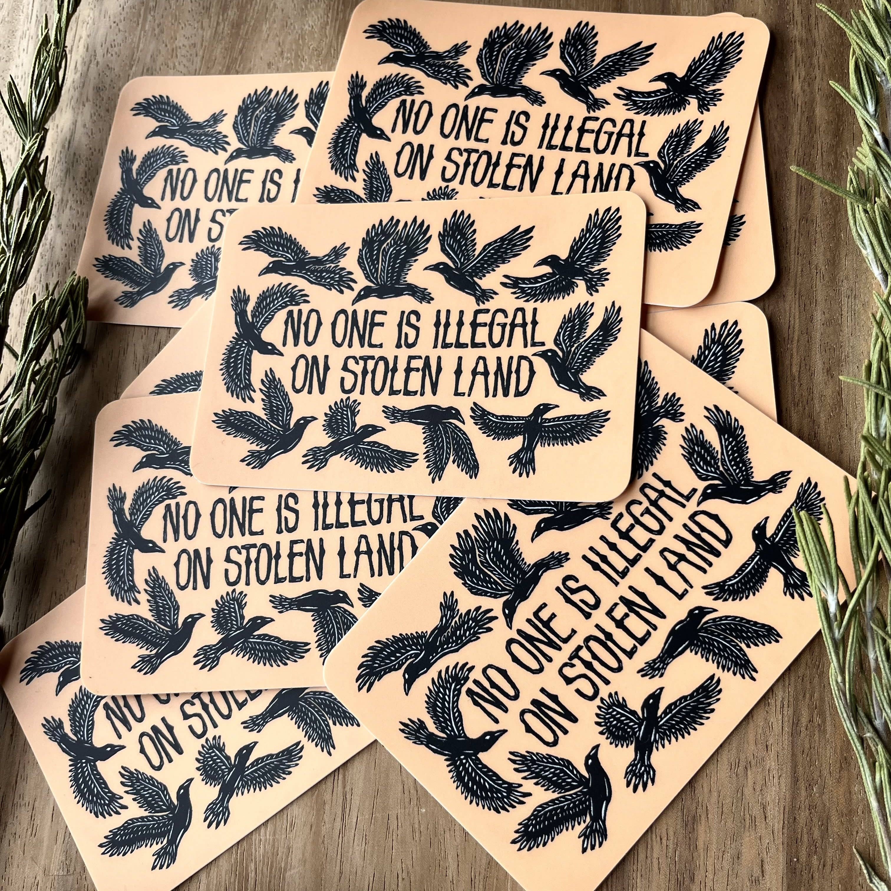 No One Is Illegal On Stolen Land Bird Sticker
