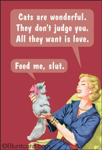 “Feed Me, Slut” Funny Retro Cat Magnet