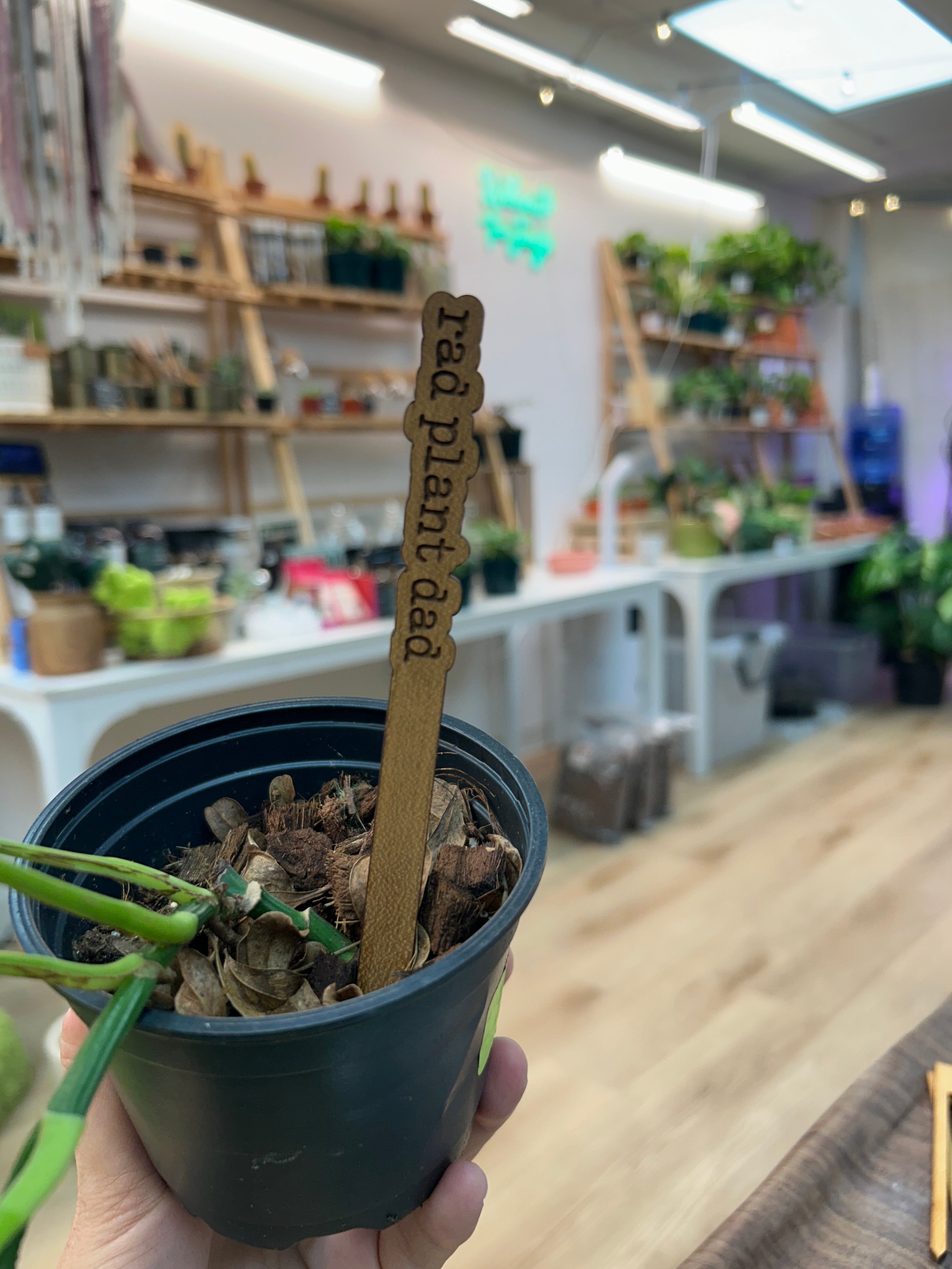 Rad Plant Dad Plant Stake
