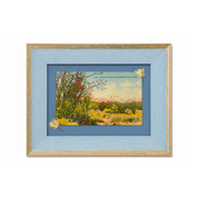 Artistic Rehab Vintage Ocotillo Cactus Postcard Art