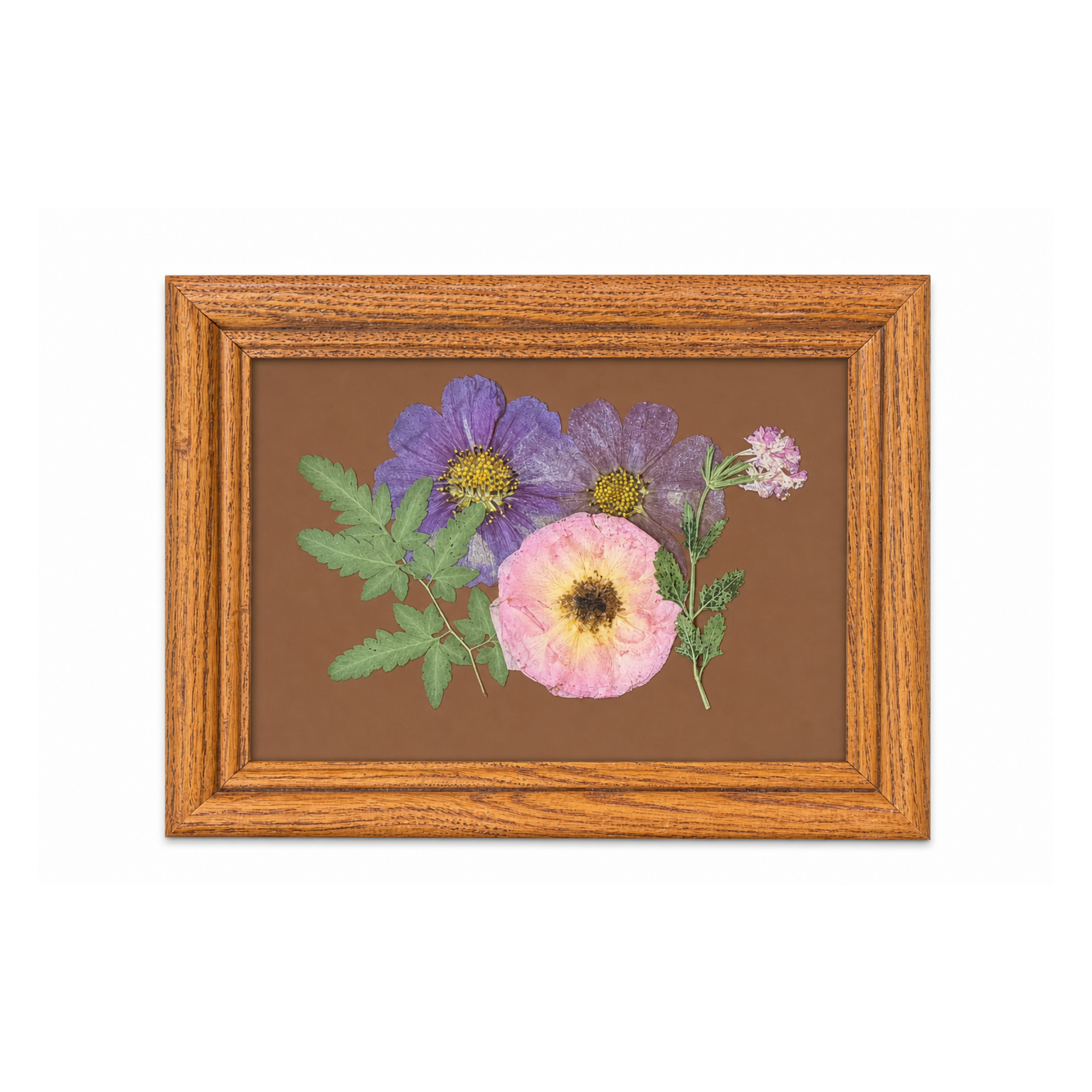Pressed_Botanicals_958ebd7e-6ccd-4ac4-87f6-d67d32ebc9f7.png