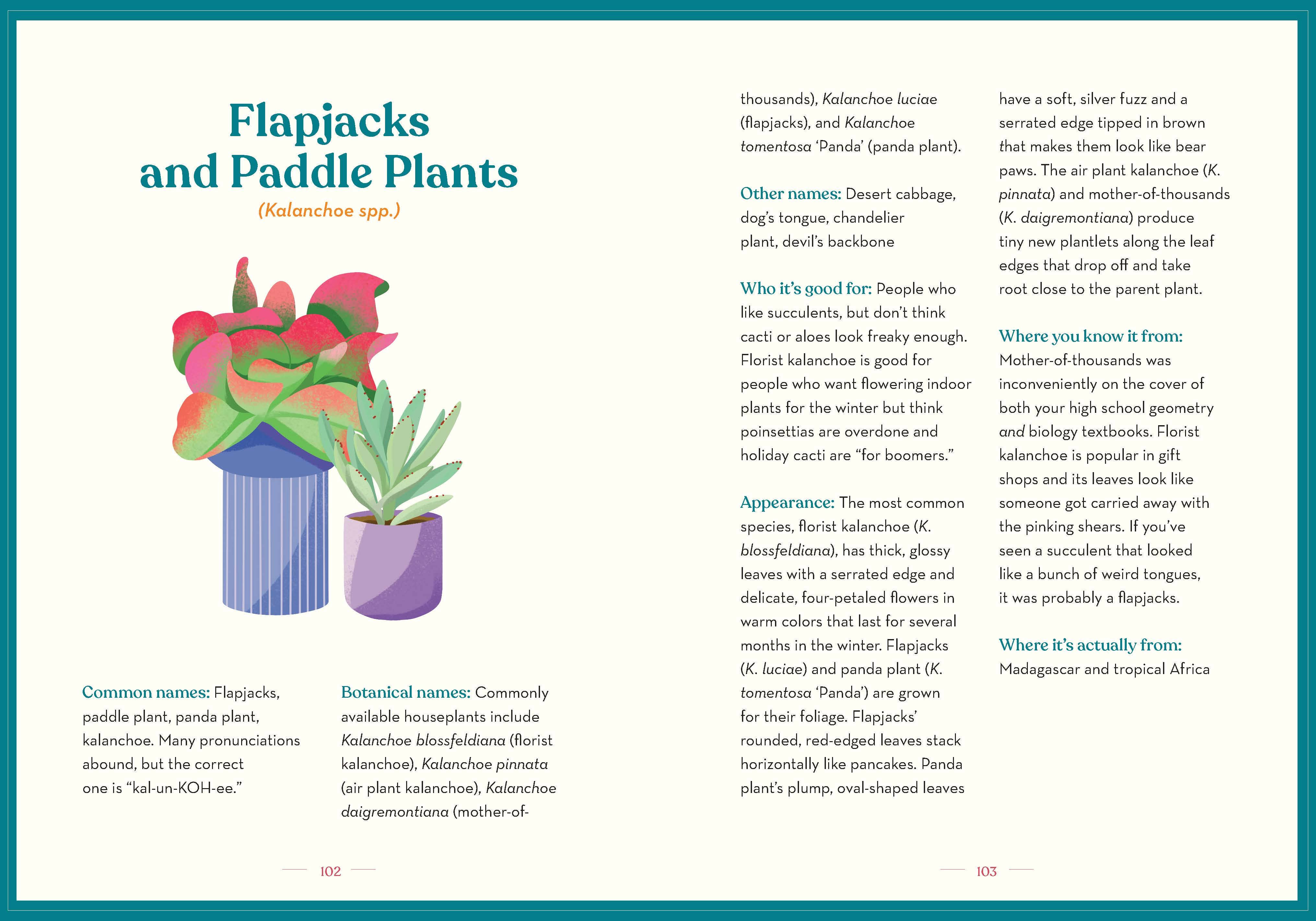 The Green Dumb Guide to Houseplants – Easy, Hard-to-Kill Plants for Beginners