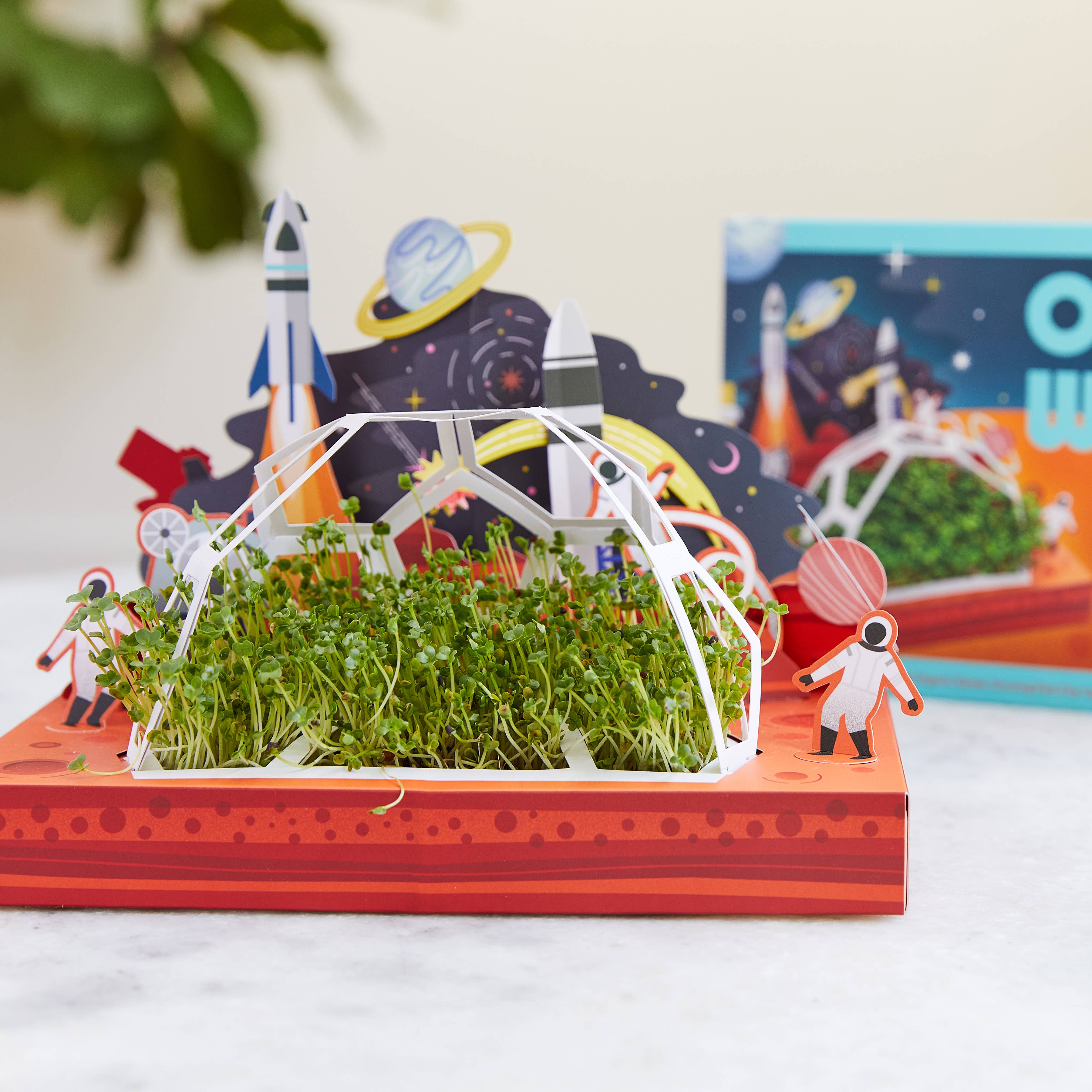 Microgreens DIY Kit: Out of this World