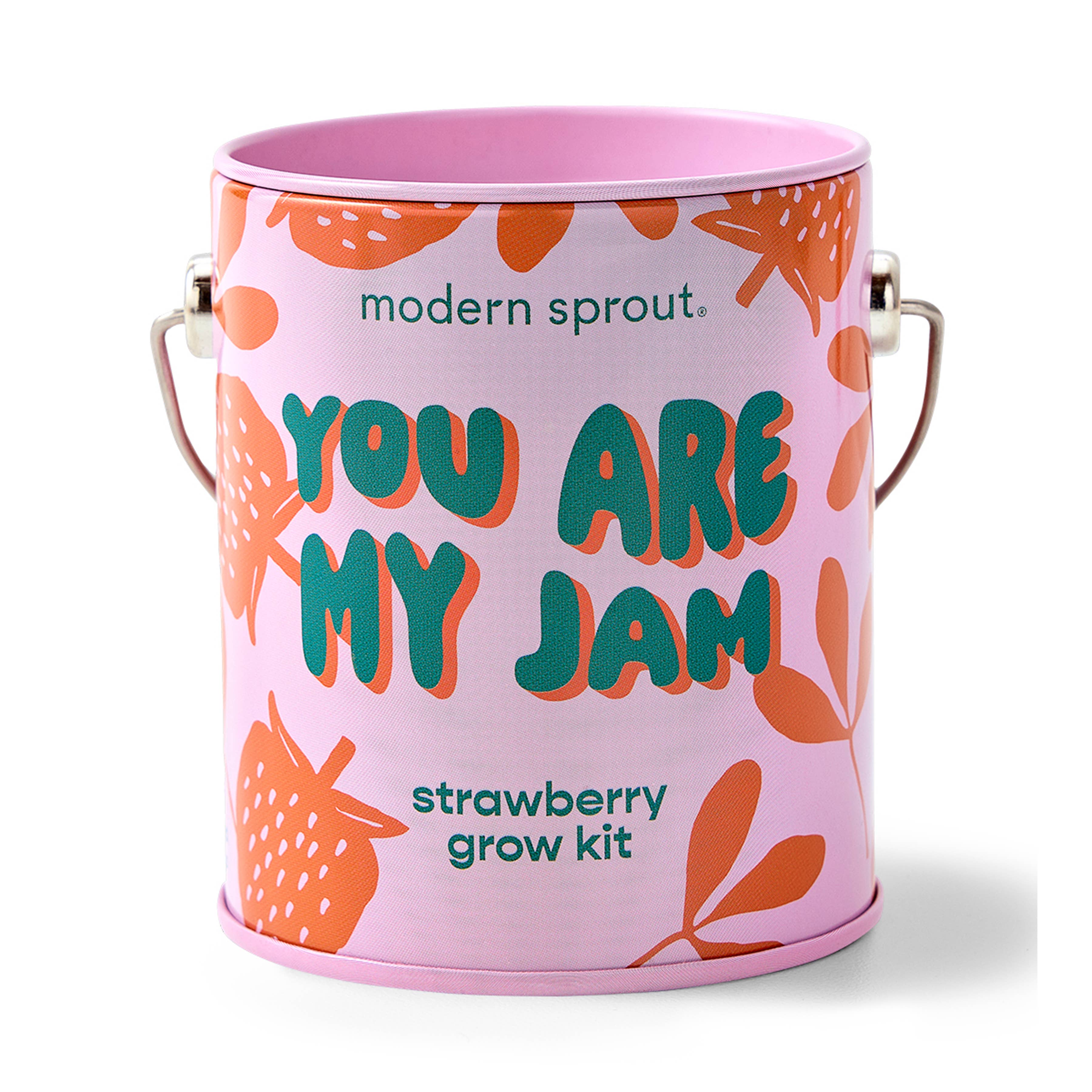 Strawberry Grow Kit 'You are My Jam'